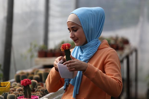 Una joven gazatí construye el vivero de cactus más grande de Gaza