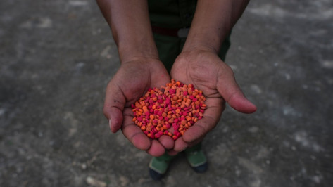 Le Bangladesh s’inspire de Duterte dans sa guerre contre la drogue