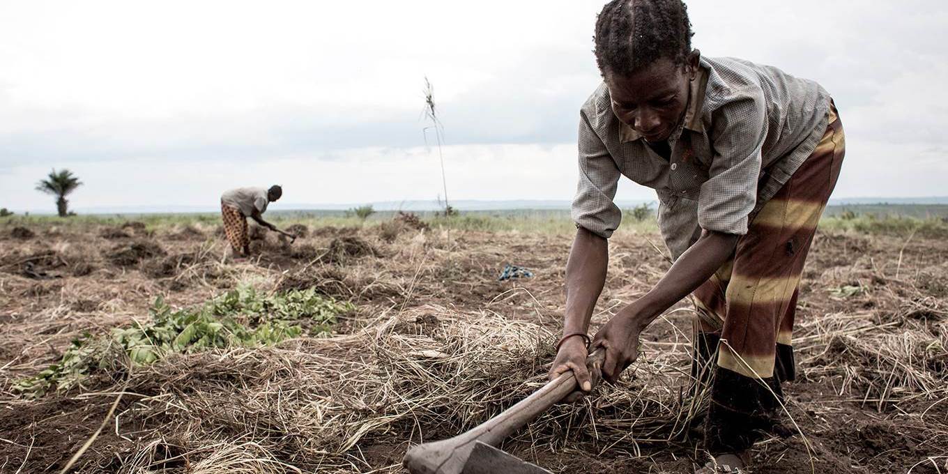 Financial Equality for Africa’s Women Farmers