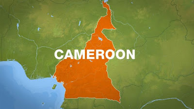 Cameroon probes video showing women, children being shot dead