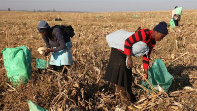 Building an Africa free from hunger and poverty