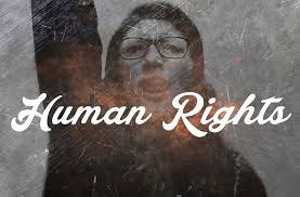 Call to End the NGO Culture of Sexual Abuse in Human Rights Organizations/NGO’s