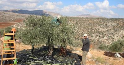 Les forces d’occupation interdisent l’entrée d’un fermier palestinien sur son terrain près de Tubas