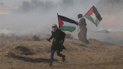 Patriarchy in Palestine