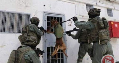 les forces israéliennes attaquent la prison d’Ofer et blessent 100 détenus palestiniens