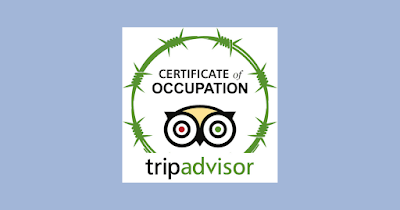 New Amnesty report examines how Airbnb, Booking.com, Expedia, and TripAdvisor benefit from the Israeli occupation
