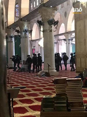 Des soldats israéliens enlèvent 50 Palestiniens en 24 heures pendant que d’autres profanent la mosquée Al-Aqsa et attaquent les fidèles