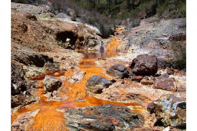 Argentina: “El nuevo Código Penal consagra la impunidad ambiental”