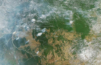 Brasil : selva arrasada Bolsonaro contra la Amazonia