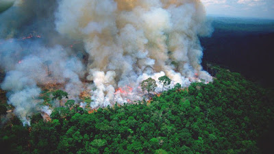 Los Fuegos de las Amazonas: ¿Cómo es que esto esté pasando en tan grande escala? ¿Quién está detrás de esto?