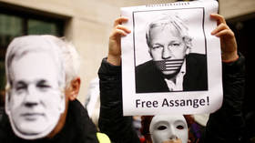 Julian Assange depuis sa cellule : « Je meurs à petit feu »