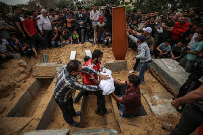 149 Palestinians killed by Israeli gunfire in 2019