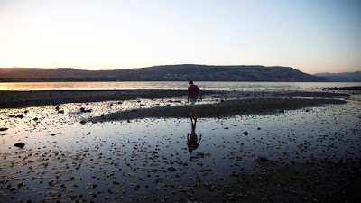 La battaglia dell’acqua in Palestina (II parte)