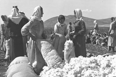 La terra perduta: i sopravvissuti della Nakba ricordano la lotta rurale nella Palestina dell’era del Mandato