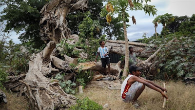 A moment of reckoning – when coronavirus meets climate change