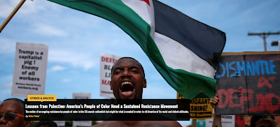 La Palestina insegna: il popolo Afroamericano ha bisogno di un deciso movimento di resistenza.